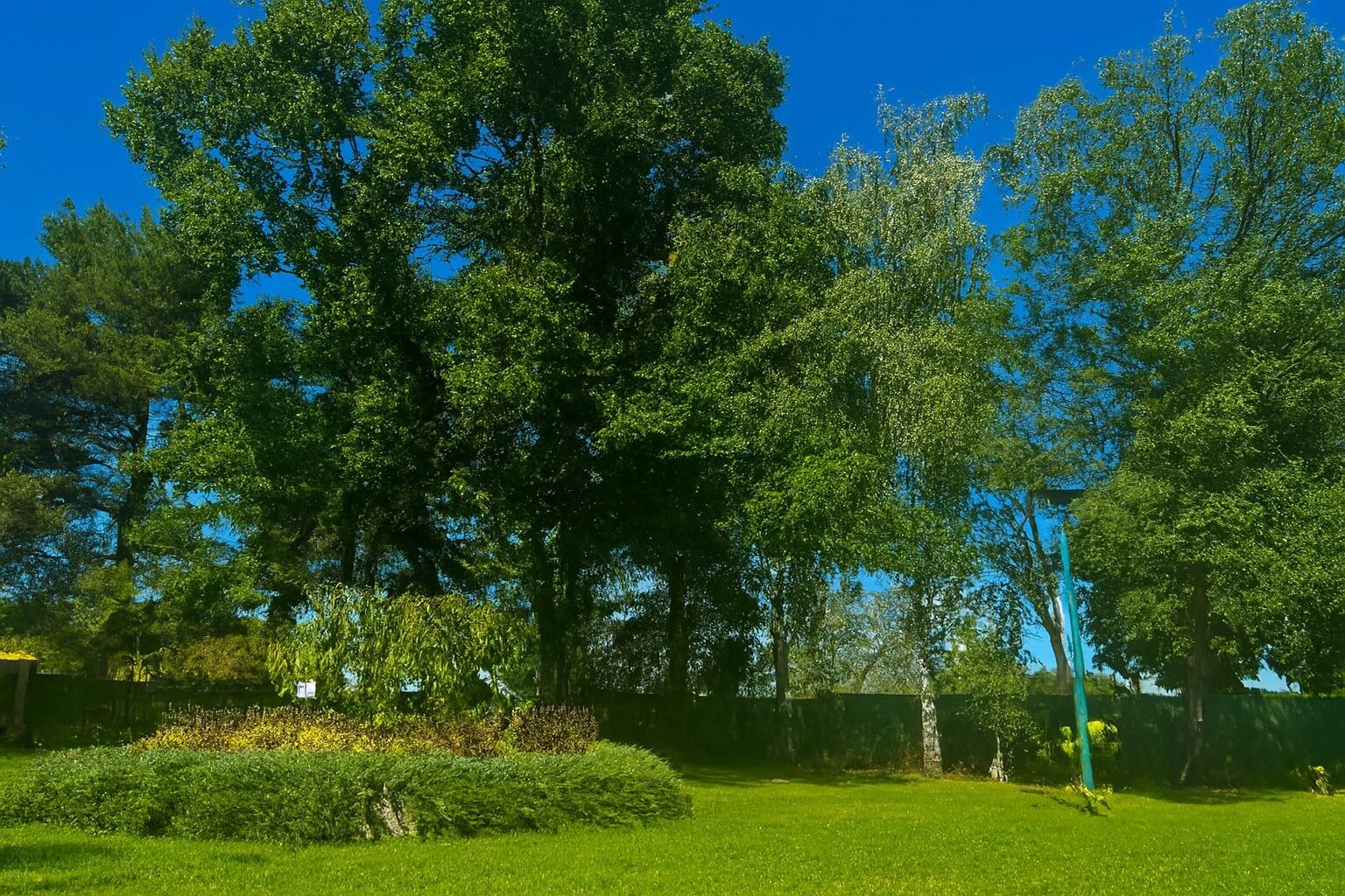 Ogród dla seniorów w domu opieki na Dolnym Śląsku